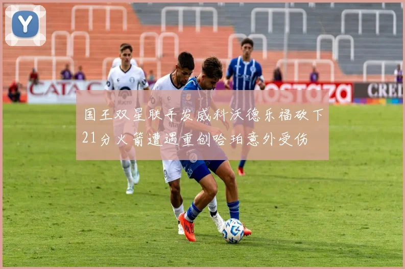 国王双星联手发威科沃德乐福砍下21分火箭遭遇重创哈珀意外受伤