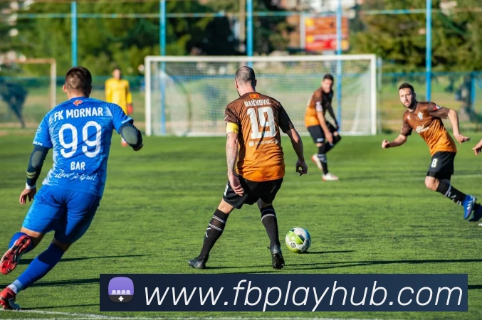 FB体育APP 高清赛事图